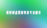 衡阳硬盘数据恢复专业服务
