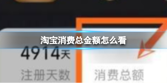 淘宝消费总金额怎么看