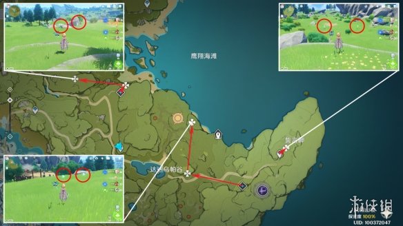 《原神》蒲公英分布图 3.8蒲公英采集路线