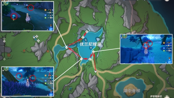 《原神》湖光铃兰分布图 4.2湖光铃兰采集路线