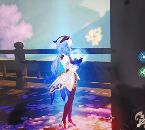 《原神》调查走廊深处的庭院 走廊深处的庭院解谜攻略