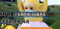十五的月亮16元是什么意思 十五的月亮16元意思介绍