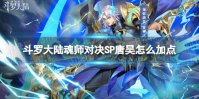斗罗大陆魂师对决SP唐昊怎么加点