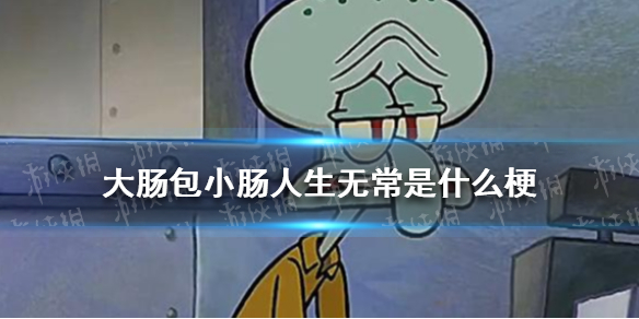 人生无常大肠包小肠是什么意思 人生无常大肠包小肠下一句