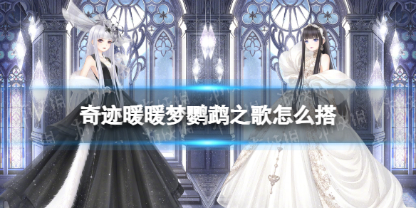 奇迹暖暖梦鹦鹉之歌怎么搭