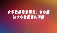 企业数据恢复服务：专业解决企业数据丢失问题