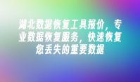 湖北数据恢复工具报价，专业数据恢复服务，快速恢复您丢失的重要数据