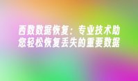 西数数据恢复：专业技术助您轻松恢复丢失的重要数据