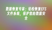数据恢复专家：轻松恢复EFS文件系统，保护您的数据安全