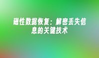 磁性数据恢复：解密丢失信息的关键技术