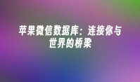 苹果微信数据库：连接你与世界的桥梁