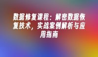 数据修复课程：解密数据恢复技术，实战案例解析与应用指南