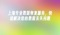 上海专业数据恢复服务，快速解决您的数据丢失问题