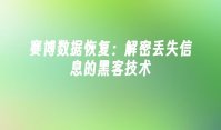赛博数据恢复：解密丢失信息的黑客技术