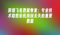 深圳飞客数据恢复：专业技术助您轻松找回丢失的重要数据