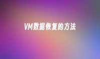 VM数据恢复的方法