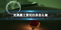 《光遇》墓土赏花任务怎么做 墓土赏花任务完成方法