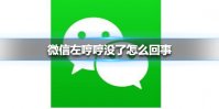 微信左哼哼没了怎么回事 微信左哼哼没有了介绍
