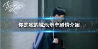 你是我的城池堡垒剧情介绍 你是我的城池堡垒剧情和大结局走向
