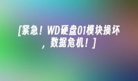 [紧急！WD硬盘01模块损坏，数据危机！]