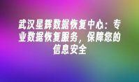 武汉星辉数据恢复中心：专业数据恢复服务，保障您的信息安全