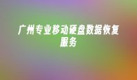 广州专业移动硬盘数据恢复服务