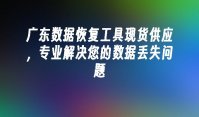 广东数据恢复工具现货供应，专业解决您的数据丢失问题