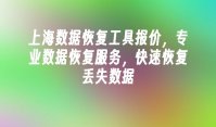 上海数据恢复工具报价，专业数据恢复服务，快速恢复丢失数据