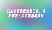 ESXi快照数据恢复工具：轻松恢复丢失的虚拟机数据