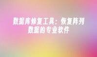 数据库修复工具：恢复阵列数据的专业软件