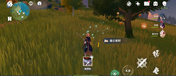 原神蒲公英籽怎么获得