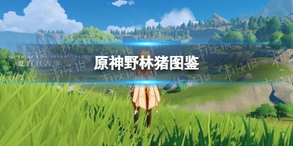 《原神手游》野林猪图鉴 野林猪在哪分布