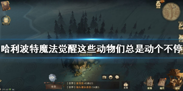 《哈利波特魔法觉醒》这些动物们总是动个不停 巧克力蛙9.20位置