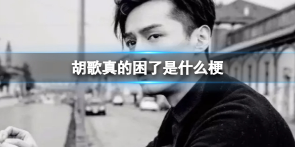 胡歌真的困了是什么梗