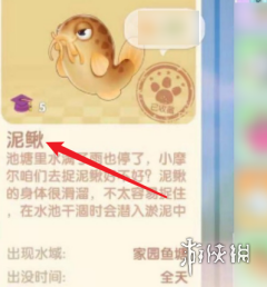 摩尔庄园夏日收集任务怎么过