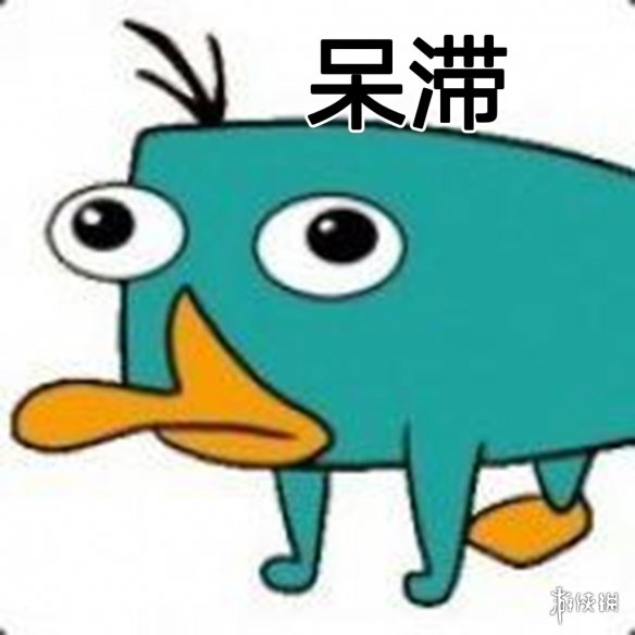 鸭嘴兽泰瑞沙雕表情包分享 鸭嘴兽泰瑞沙雕表情包哪里有
