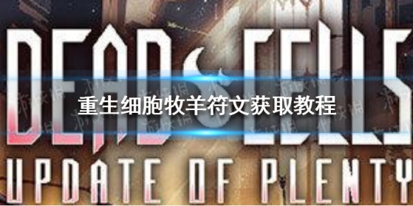 《重生细胞》蜘蛛符文怎么获取 蜘蛛符文获取教程