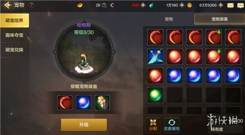 《DNF手游》你还没有宠物吗 宠物指南