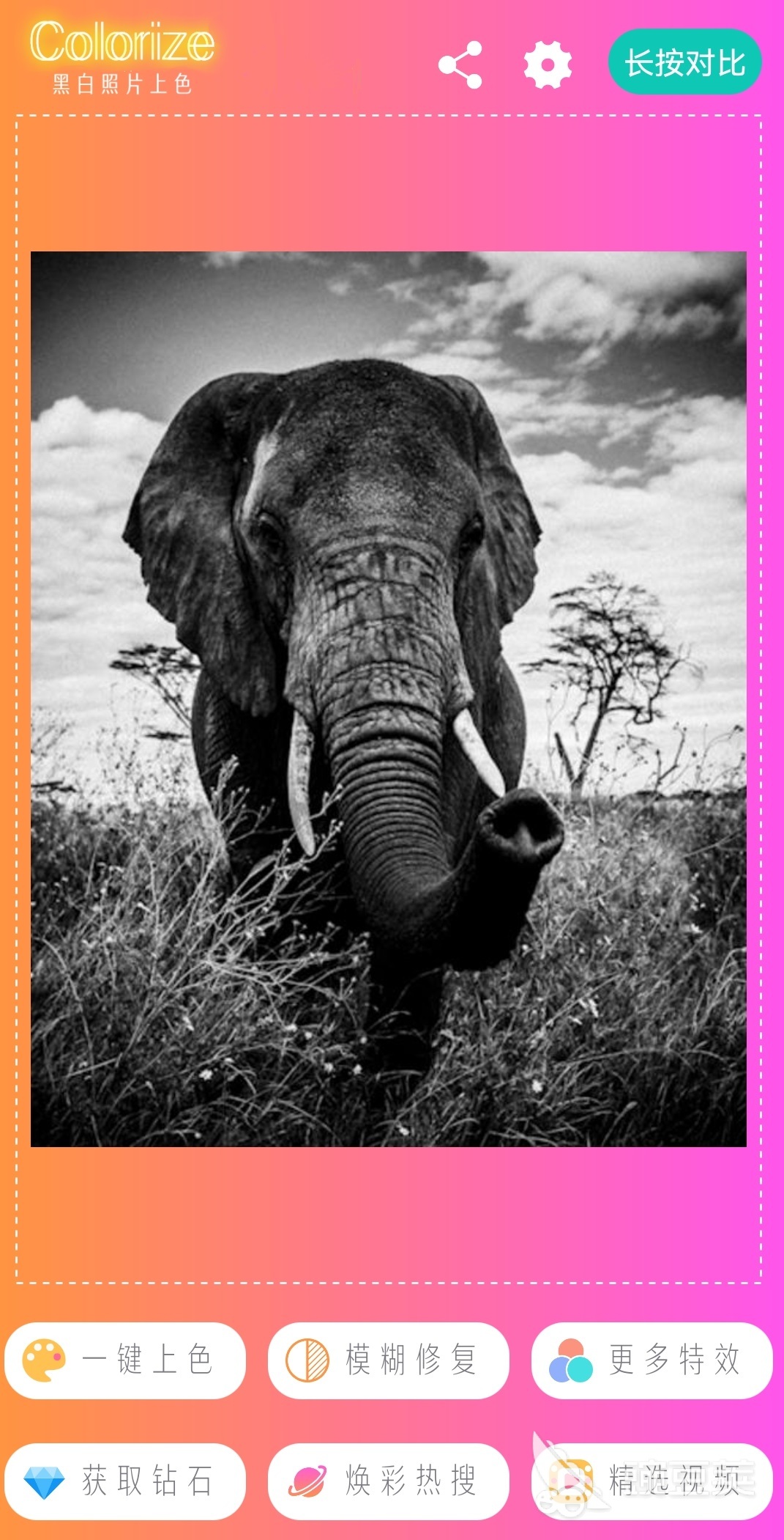 免费的上颜色app有哪些 手机上画图上色的软件排行榜