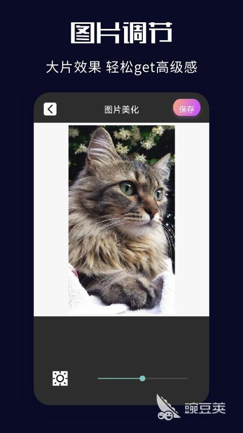 什么软件可以镜像翻转图片 可以对图片进行编辑处理的软件推荐