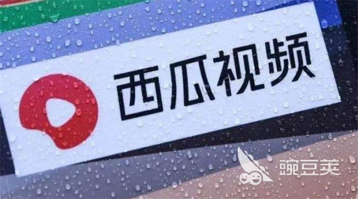 2022有什么看片的app 好用看片app排行榜前五名