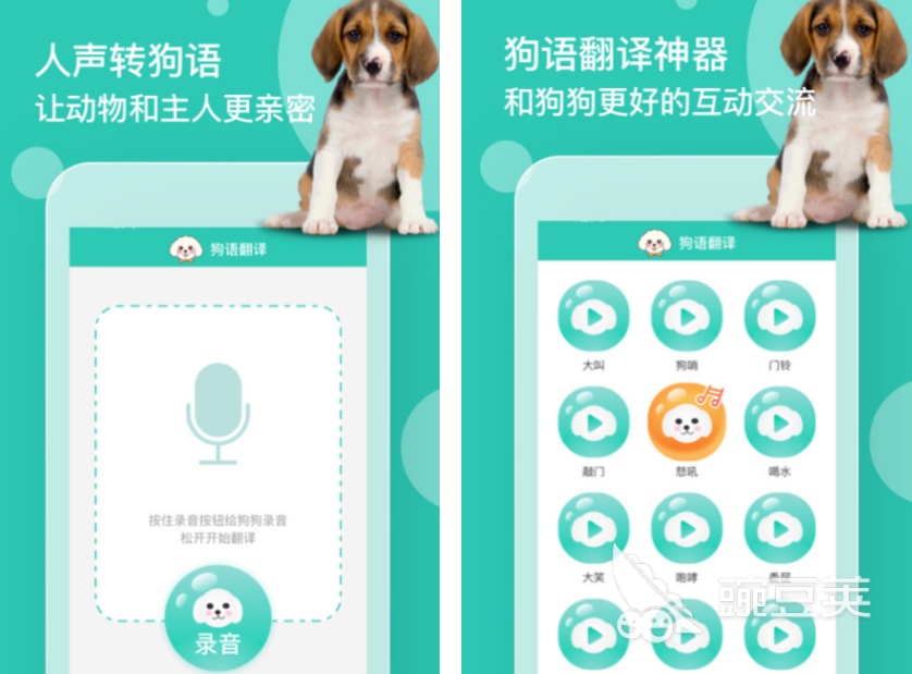 翻译狗语音的软件哪个好2022 翻译狗语音的软件合集推荐