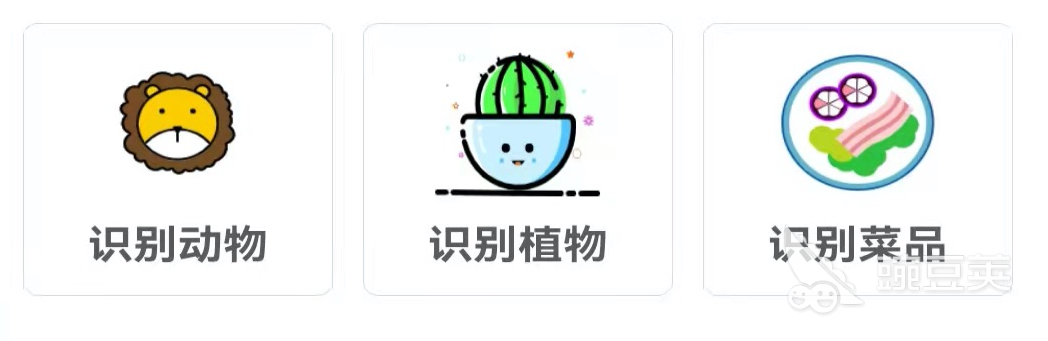 植物拍照识别软件下载2022前十 照片植物识别软件有什么