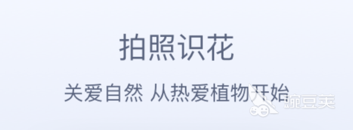 植物拍照识别软件下载2022前十 照片植物识别软件有什么