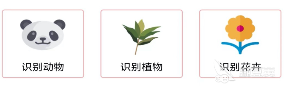植物拍照识别软件下载2022前十 照片植物识别软件有什么