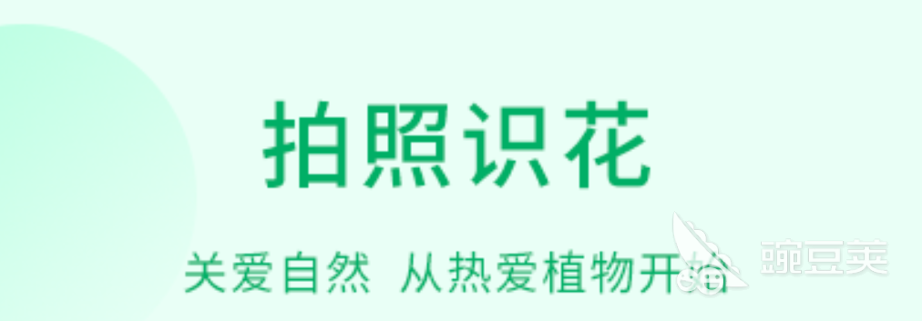 植物拍照识别软件下载2022前十 照片植物识别软件有什么