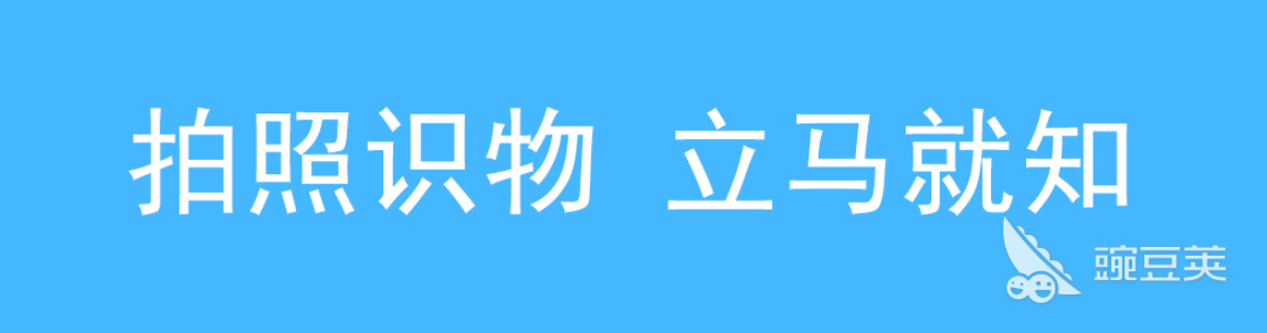 植物拍照识别软件下载2022前十 照片植物识别软件有什么