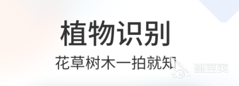 植物拍照识别软件下载2022前十 照片植物识别软件有什么