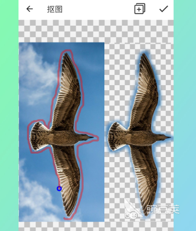 修图软件哪个比较好用 热门修图软件app大全