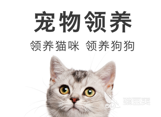 2022卖宠物的app有哪些 卖宠物的app最新合集